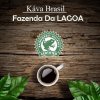 Káva BRAZIL FAZENDA RAINFOREST 1Kg zrnková