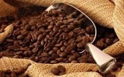 Káva JARDIM DAS OLIVERAS  0,5kg zrnková