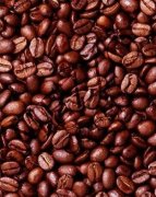 Káva EQUADOR 1Kg zrnková